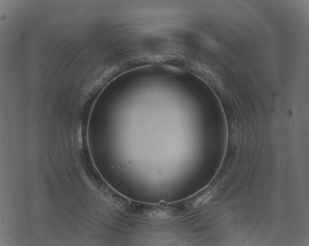 X0000073920358200608181055