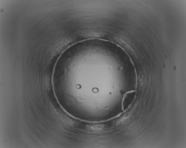 X0000073920359200608181055