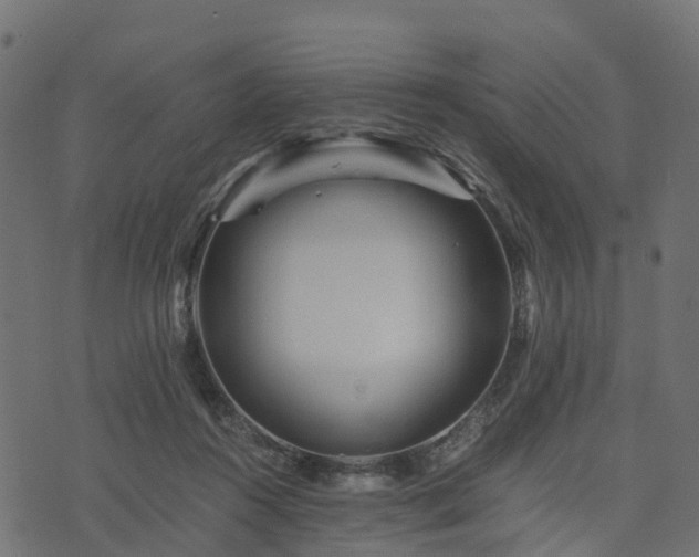 X0000073920360200608181055