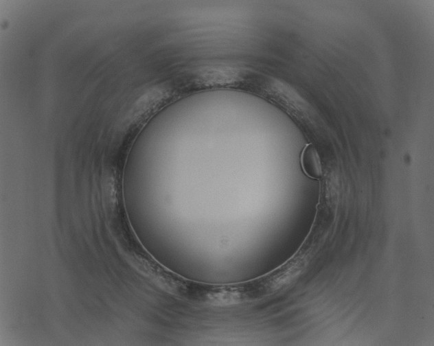 X0000073920362200608181055