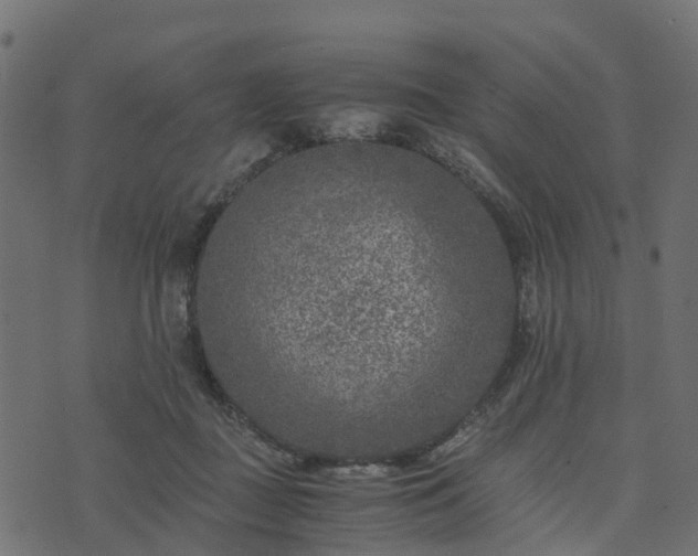 X0000073920363200608181055