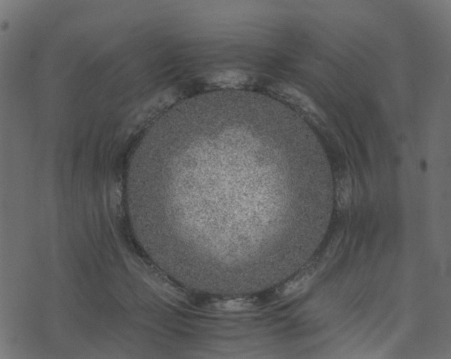 X0000073920365200608181055