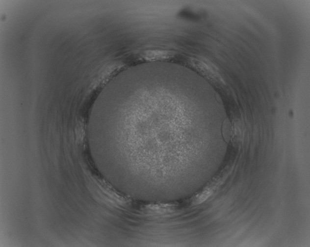 X0000073920367200608181055