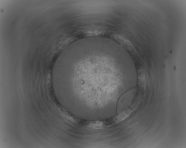 X0000073920369200608181055