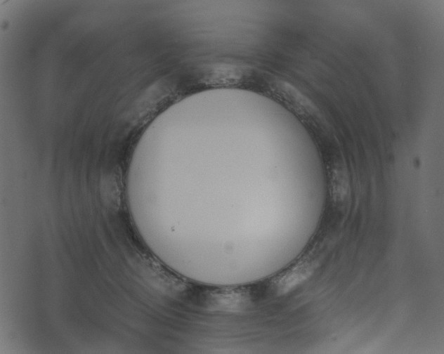 X0000073920370200608181055