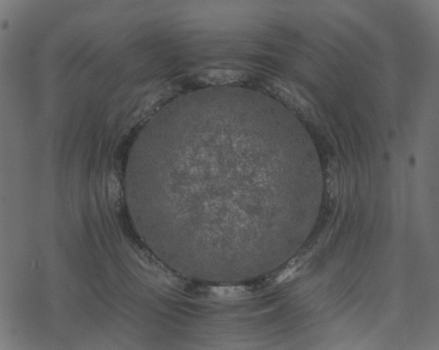 X0000073920371200608181055