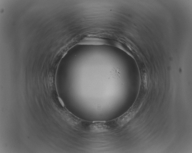 X0000073920372200608181055