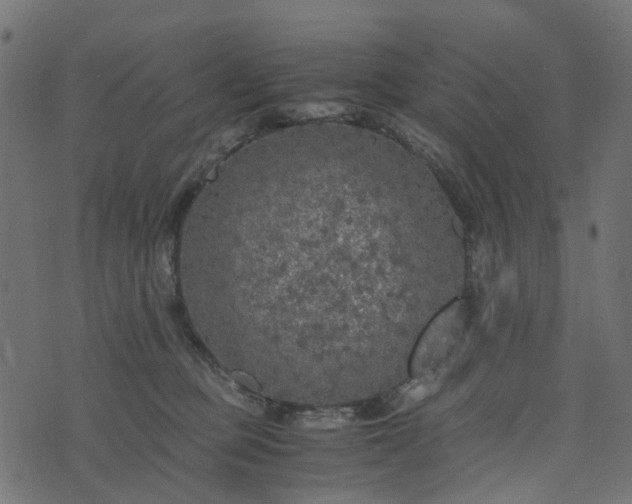 X0000073920373200608181055