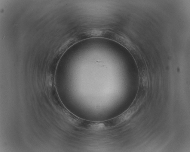 X0000073920374200608181055