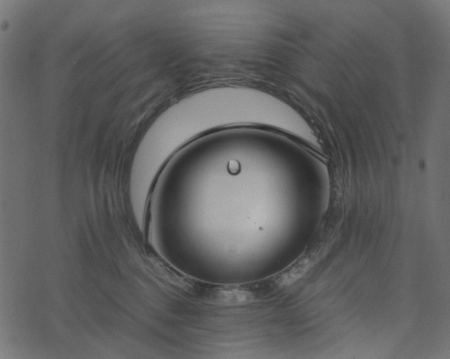 X0000073920376200608181055