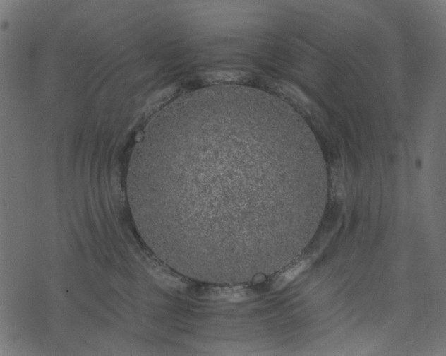 X0000073920377200608181055