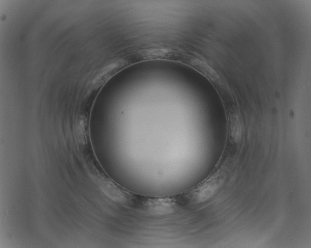 X0000073920378200608181055