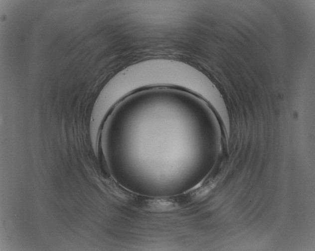 X0000073920380200608181055