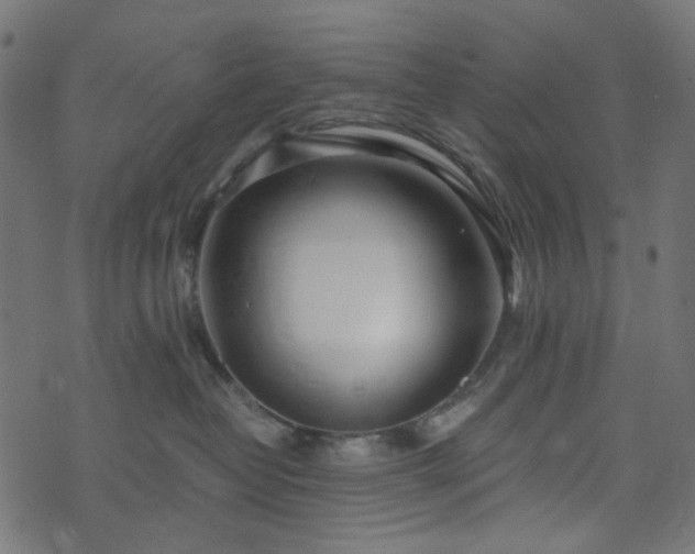 X0000073920382200608181055