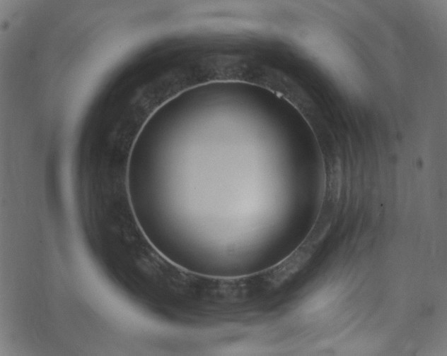 X0000073920383200608181055