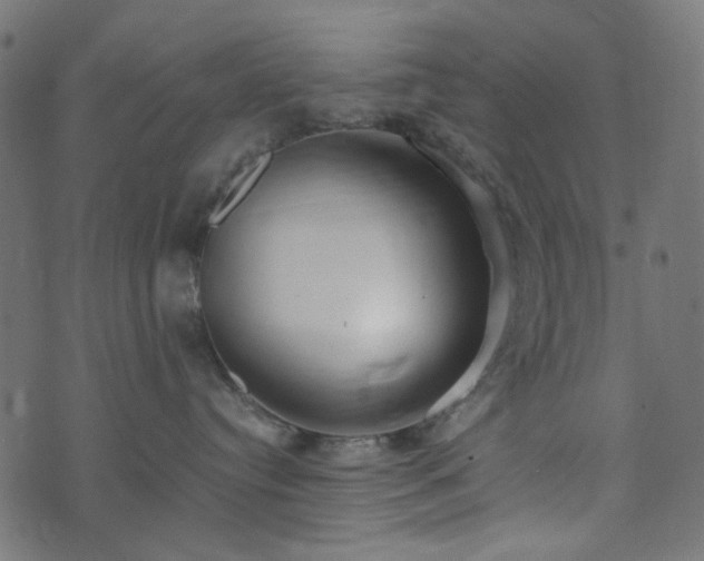 X0000073920384200608181055