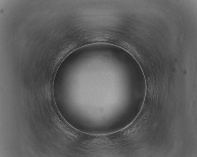 X0000073920386200608181054