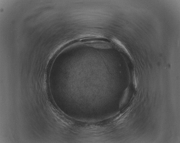 X0000073920387200608181054