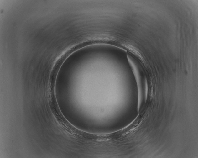 X0000073920388200608181054