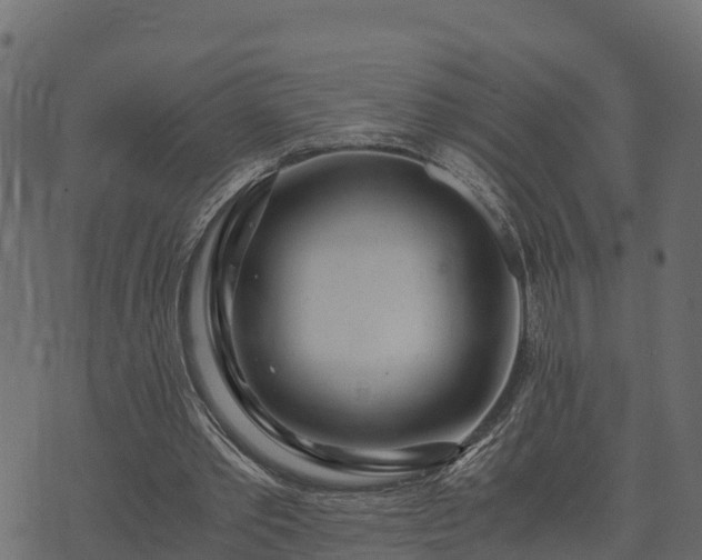 X0000073920389200608181054