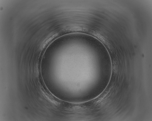 X0000073920390200608181054