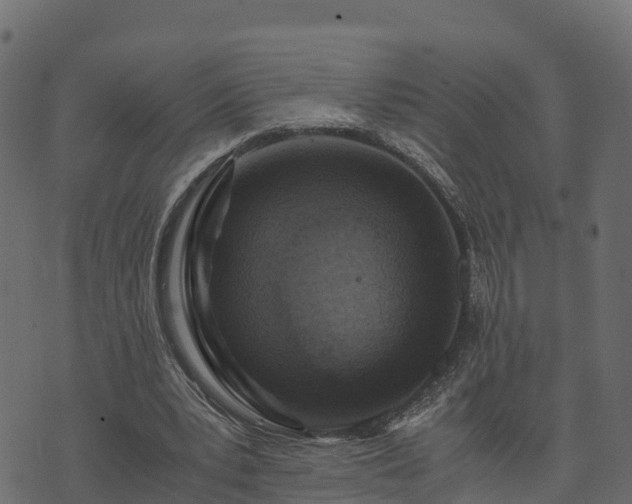 X0000073920391200608181054