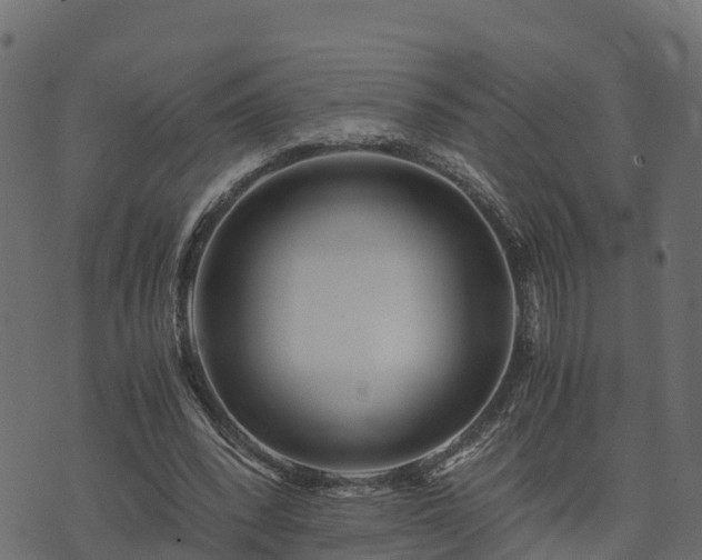 X0000073920392200608181054