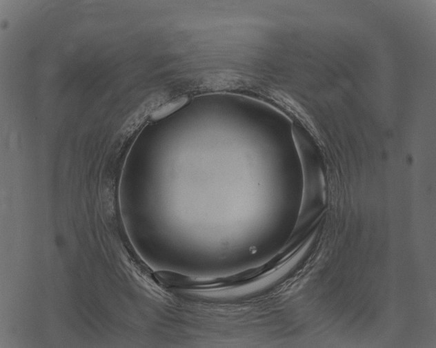 X0000073920393200608181054