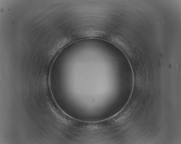 X0000073920394200608181054