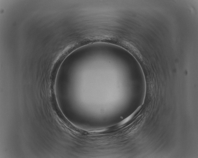 X0000073920395200608181054