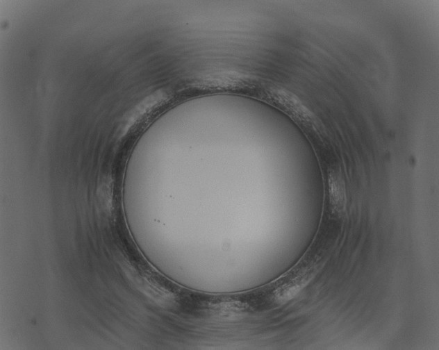 X0000073920396200608181054