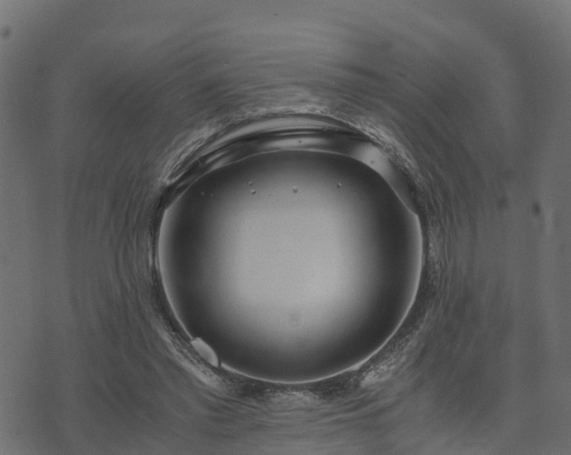 X0000073920397200608181054