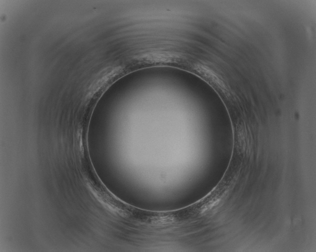 X0000073920398200608181054