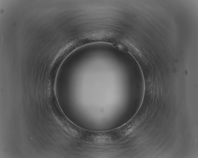 X0000073920400200608181054