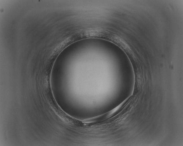 X0000073920401200608181054