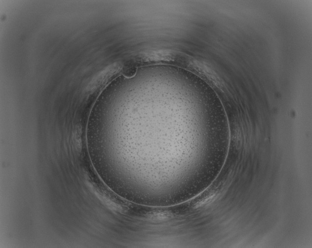 X0000073920402200608181054