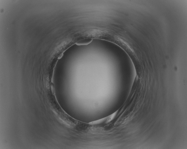 X0000073920403200608181054