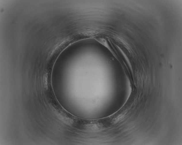 X0000073920404200608181054