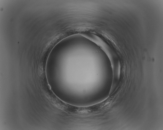 X0000073920407200608181054