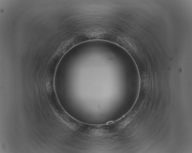 X0000073920408200608181054