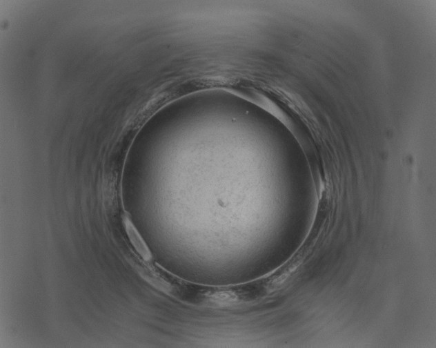 X0000073920409200608181054