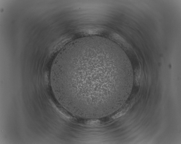 X0000073920410200608181054