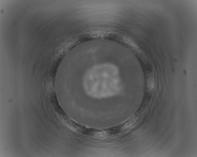 X0000073920411200608181054