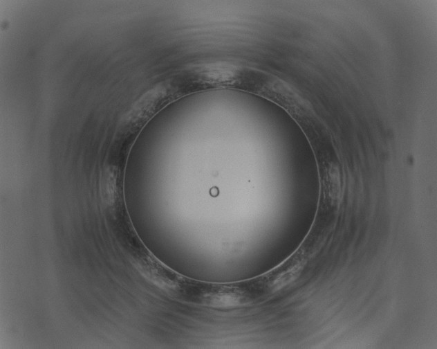 X0000073920412200608181054