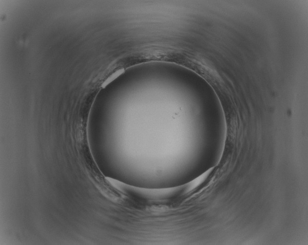 X0000073920413200608181054