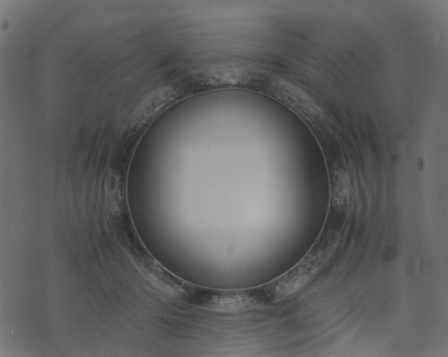 X0000073920414200608181054