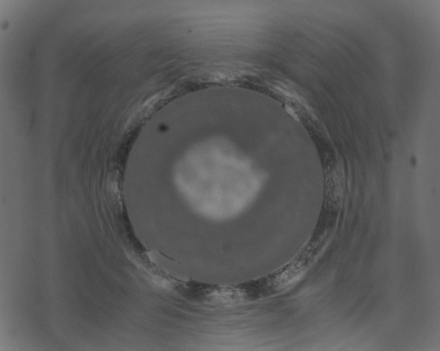 X0000073920415200608181054