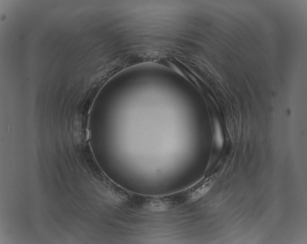 X0000073920416200608181054