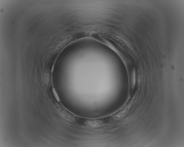 X0000073920417200608181054