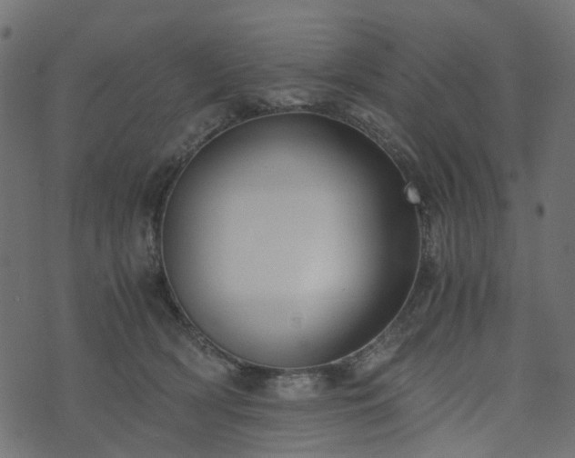 X0000073920418200608181054